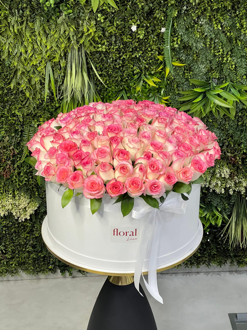 101 Roses in Contrast
