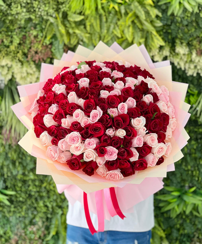 151 Roses with Love
