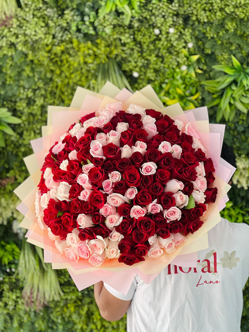 151 Roses with Love