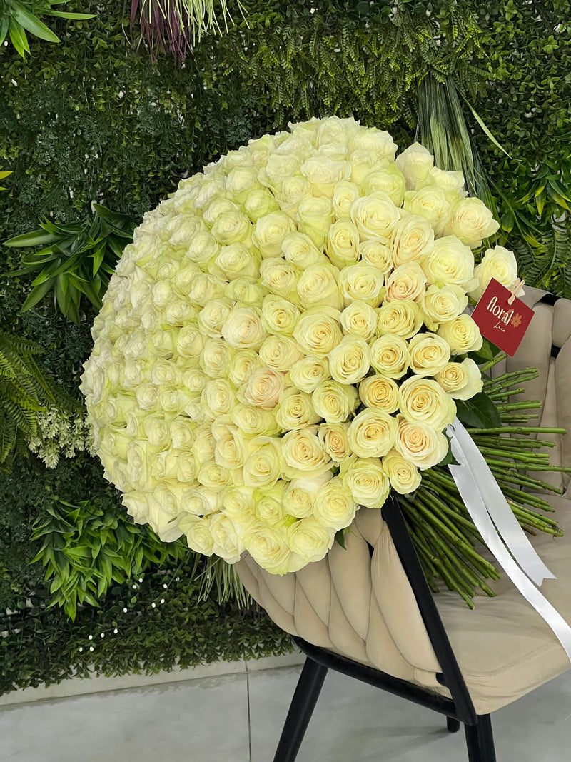 151 White Roses Bunch