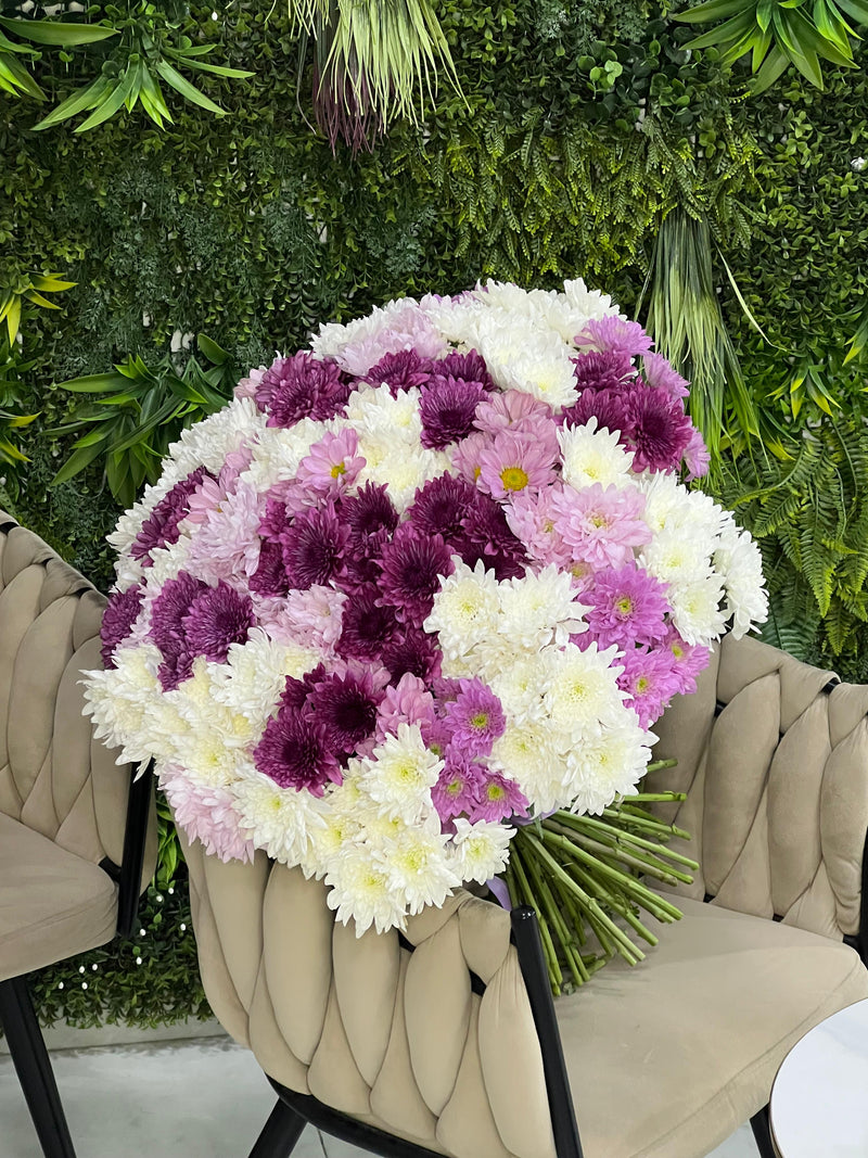 Fresh 51 Chrysanthemum Bunch