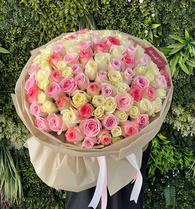 Serenade of 101 Pink and white Roses