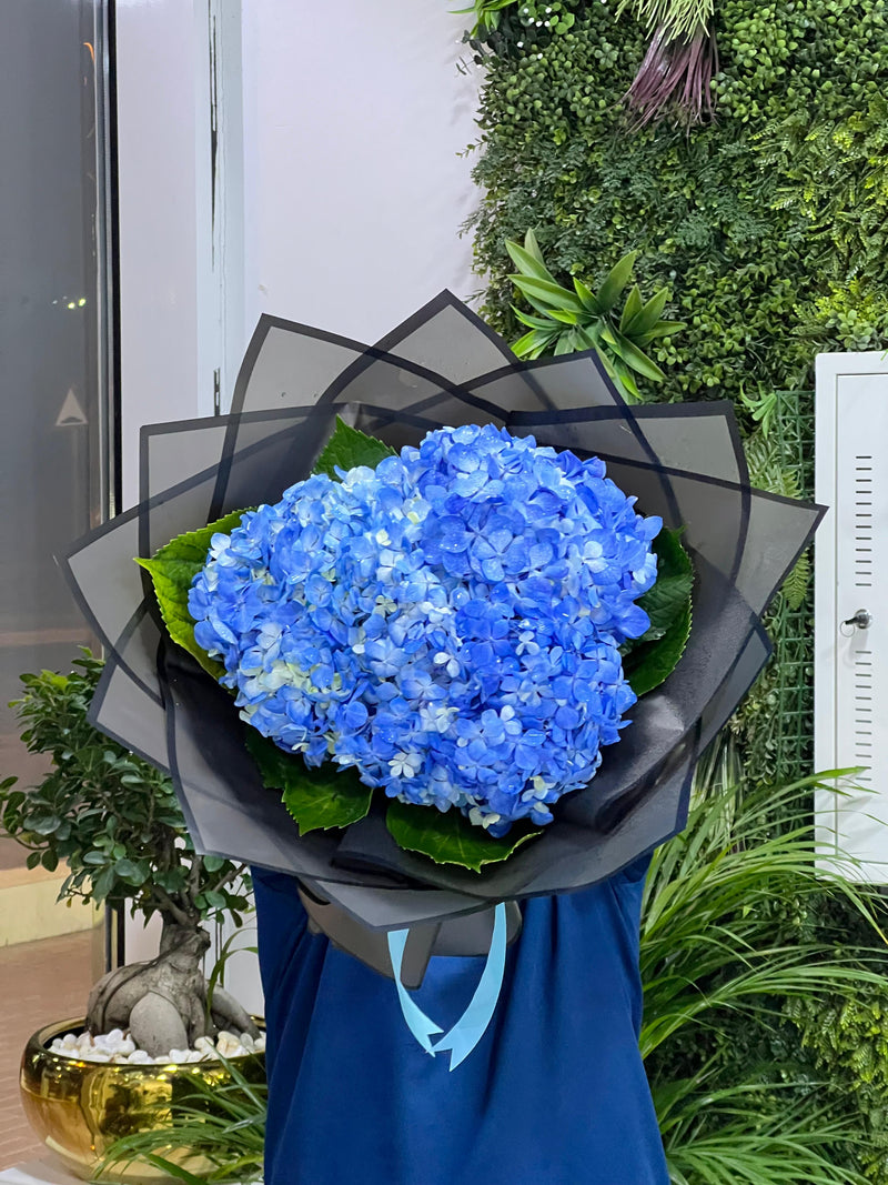 Sapphire Mist