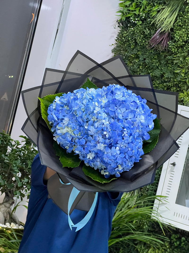 Sapphire Mist