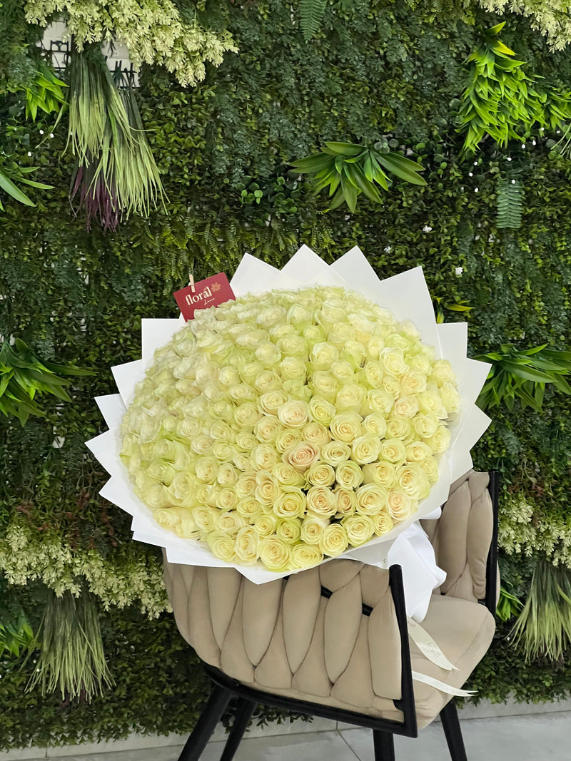 151 White Roses of Pure Grace