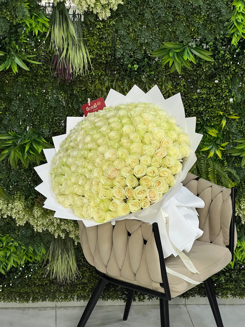151 White Roses of Pure Grace