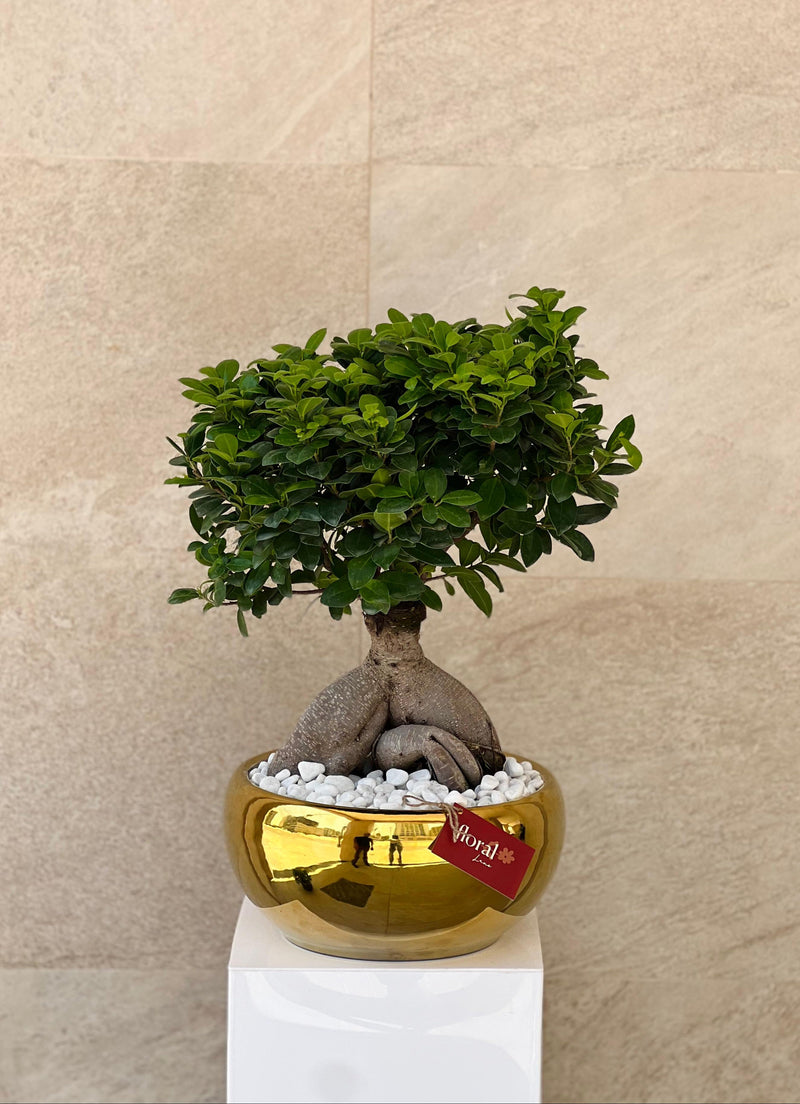 Fresh Natural Plants