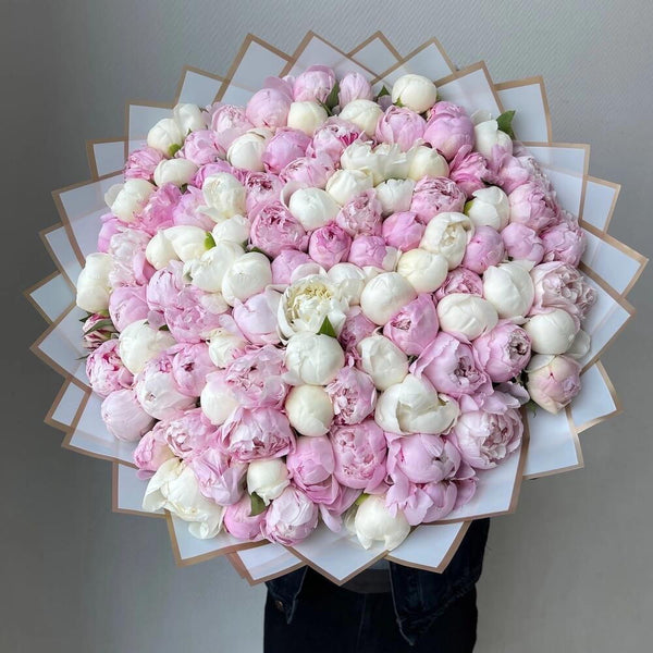 Peonies & Tulips 🌷