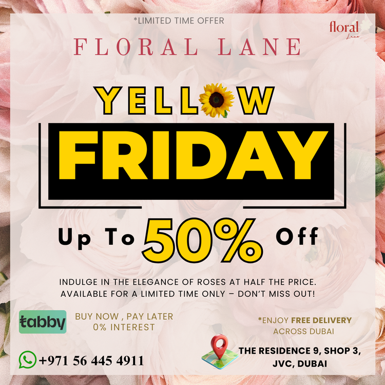 Yellow Friday Sale - 50% OFF