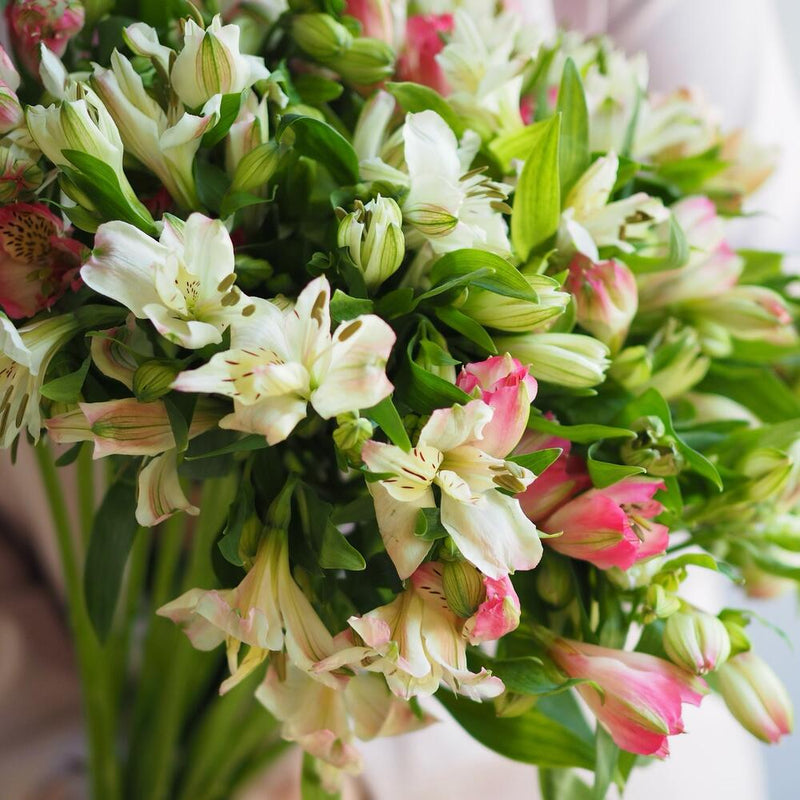 Fresh Alstroemerias Bunch