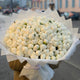 White Peony Elegance 101