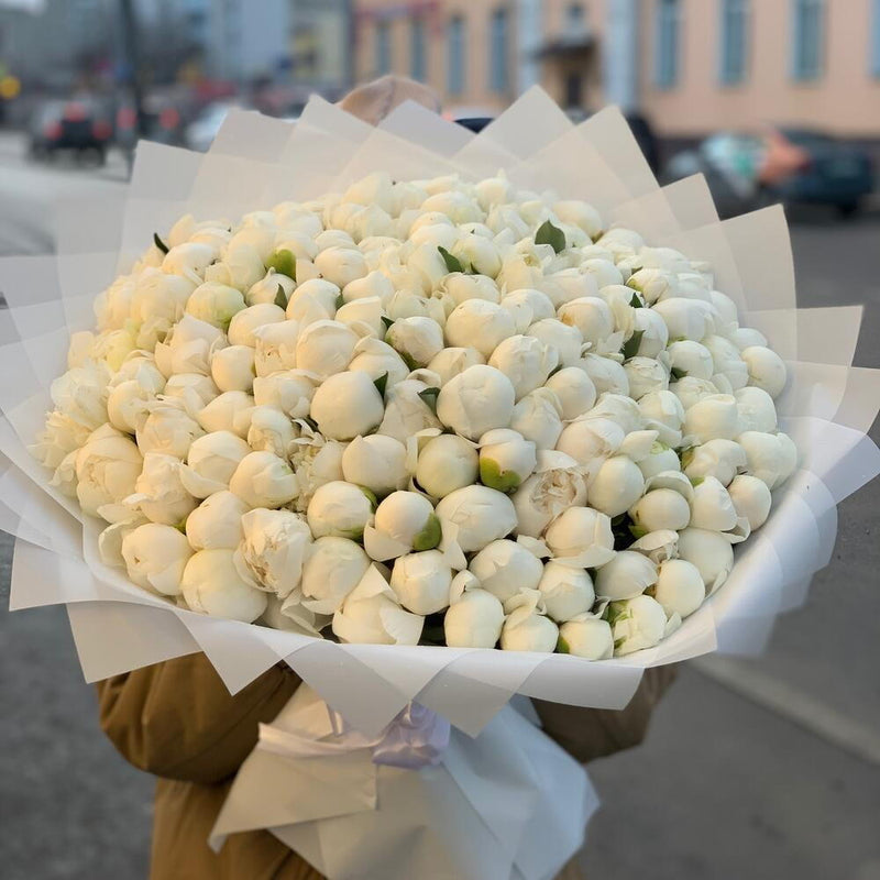 White Peony Elegance 101