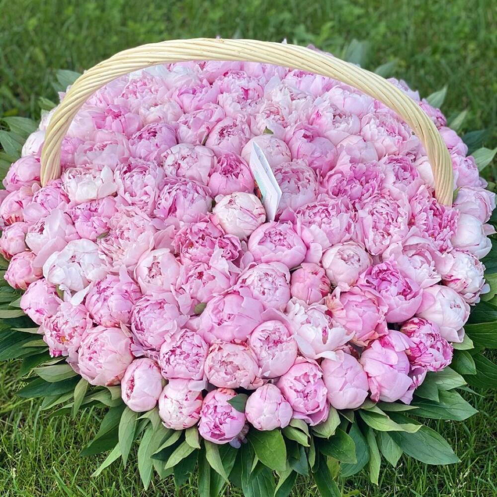 101 Peony Dreams Basket