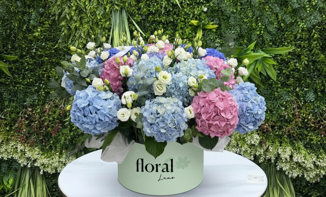 The Grand Hydrangea Bloom Box