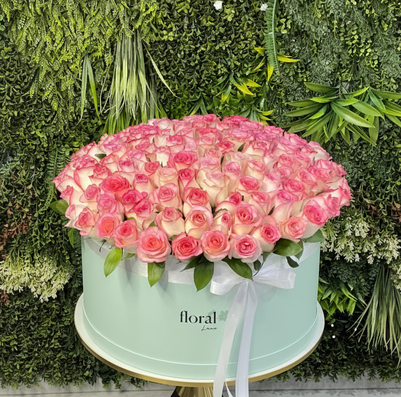 Pink Roses in Contrast