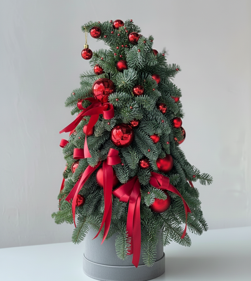 Christmas Decoration Combo