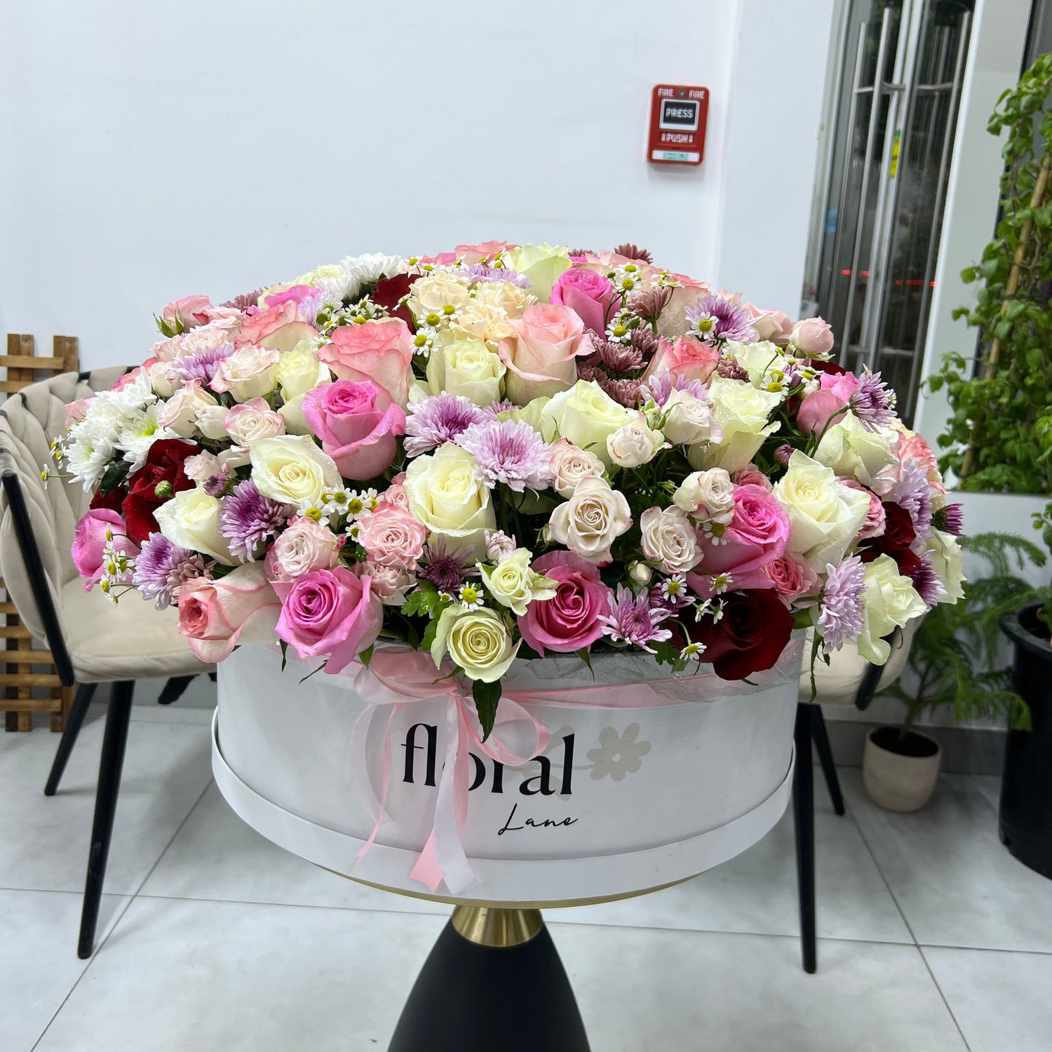 Rose Garden Box