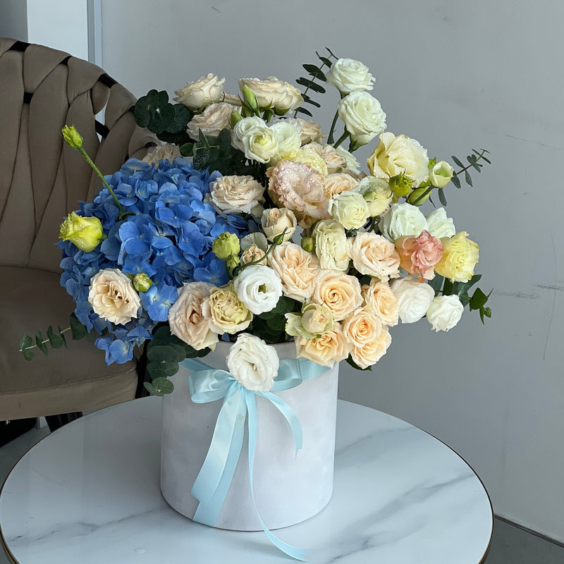 Ocean Breeze Velvet Box