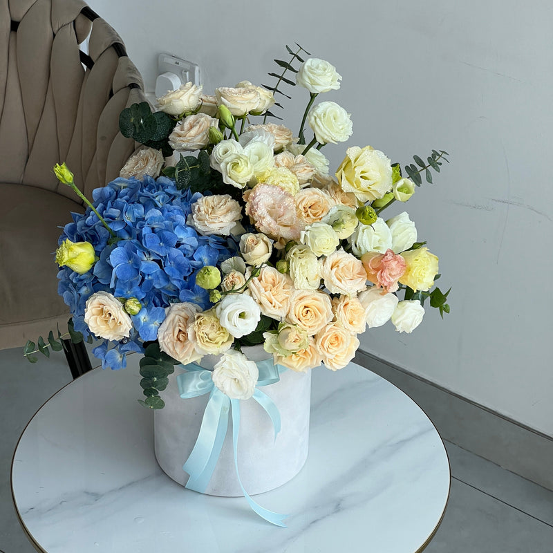 Ocean Breeze Velvet Box