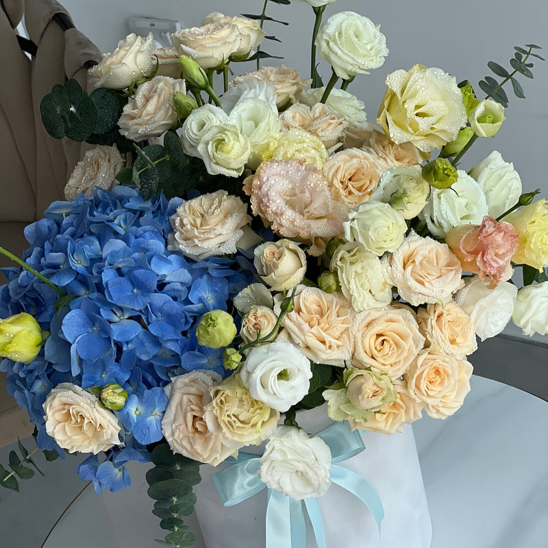 Ocean Breeze Velvet Box