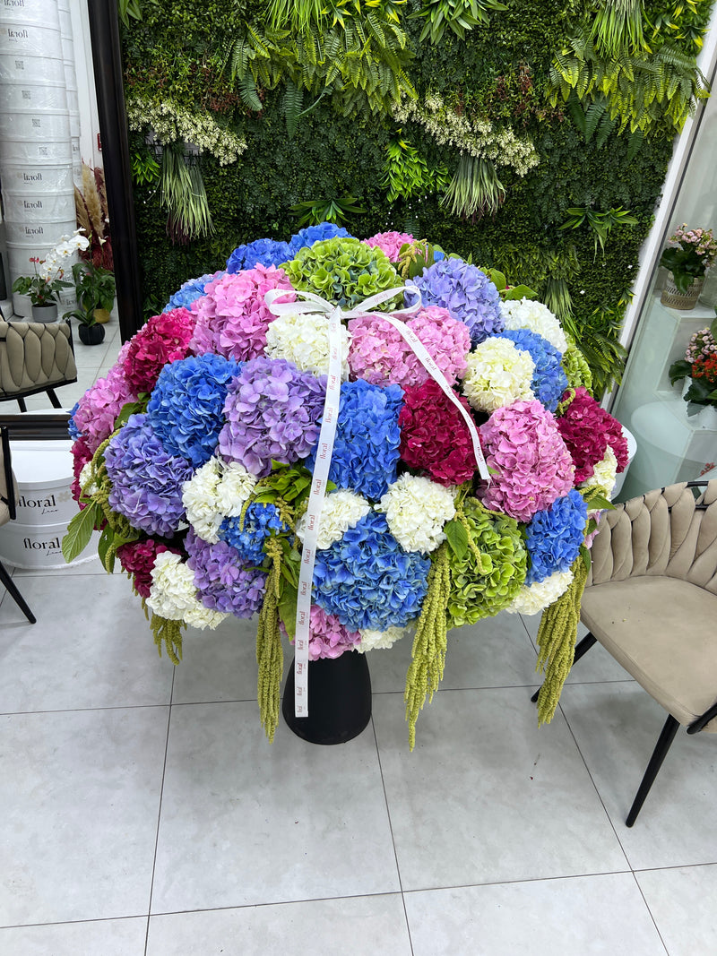 51 Hydrangeas Basket XXL