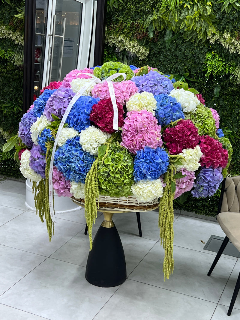 51 Hydrangeas Basket XXL