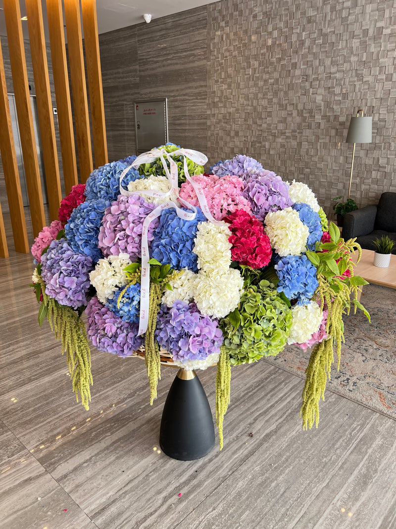 51 Hydrangeas Basket XXL