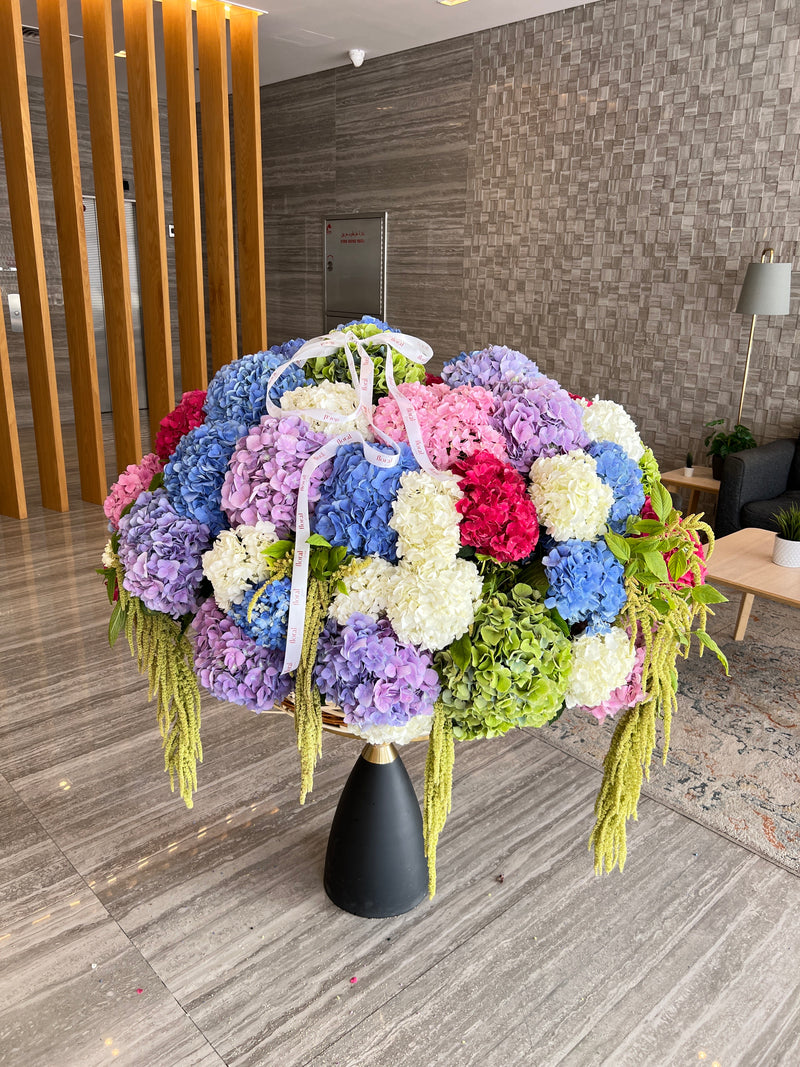 51 Hydrangeas Basket XXL