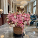 The Royal Lily Grandeur