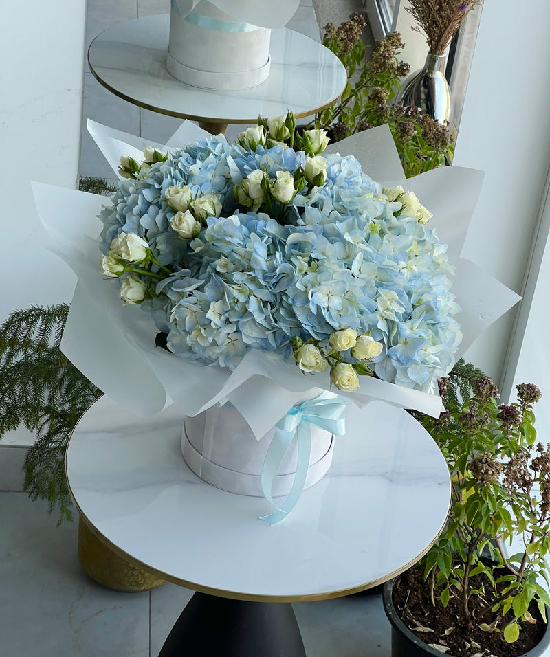 Sky Blue Elegance Box