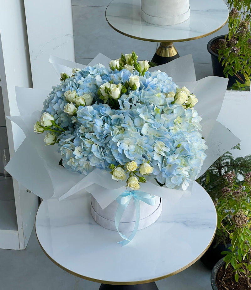 Sky Blue Elegance Box