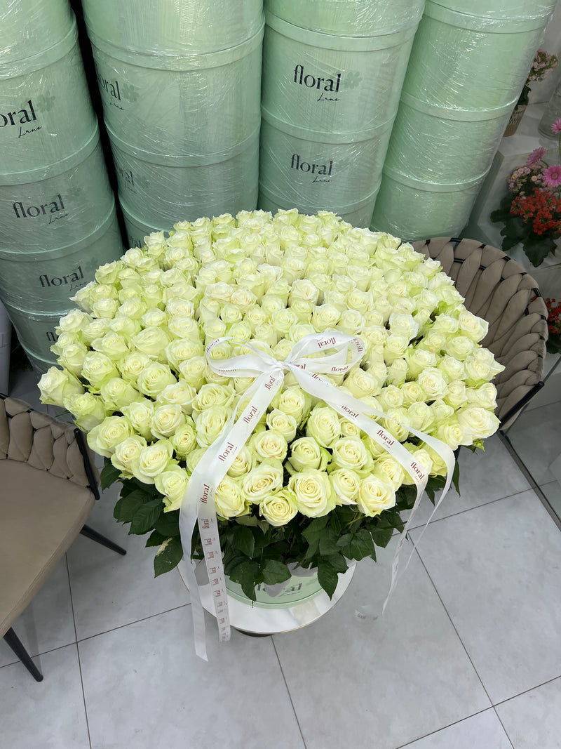 The Platinum Cache Box