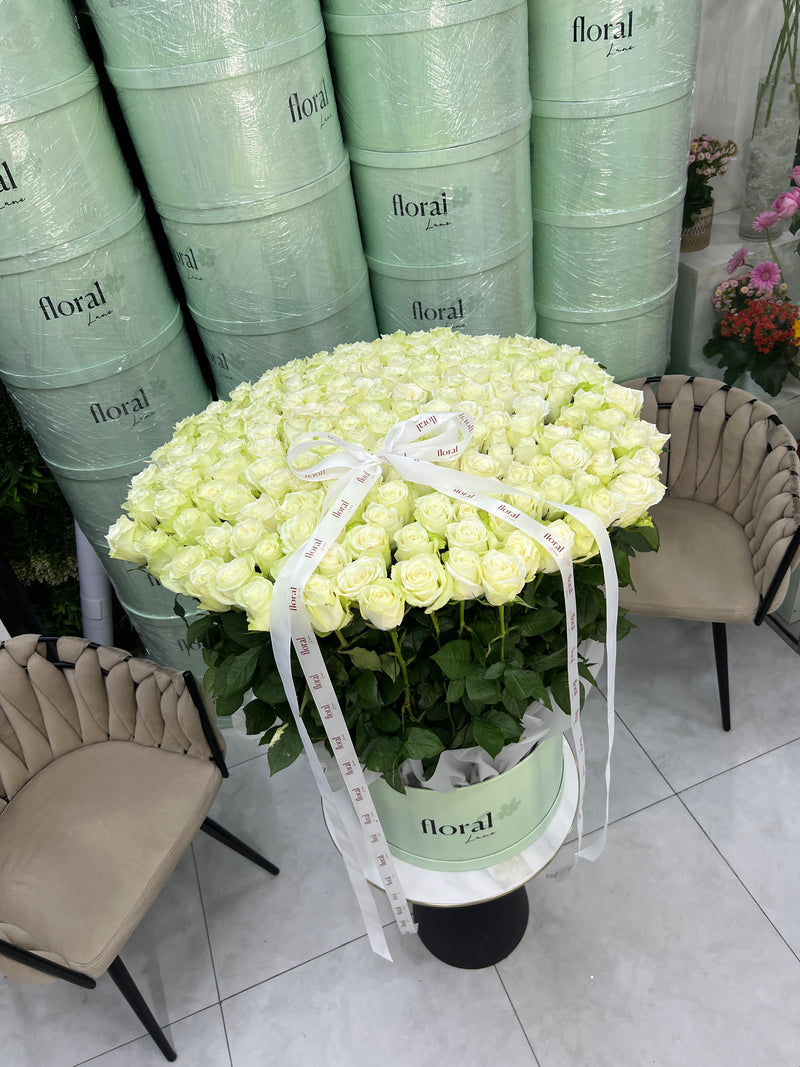 The Platinum Cache Box