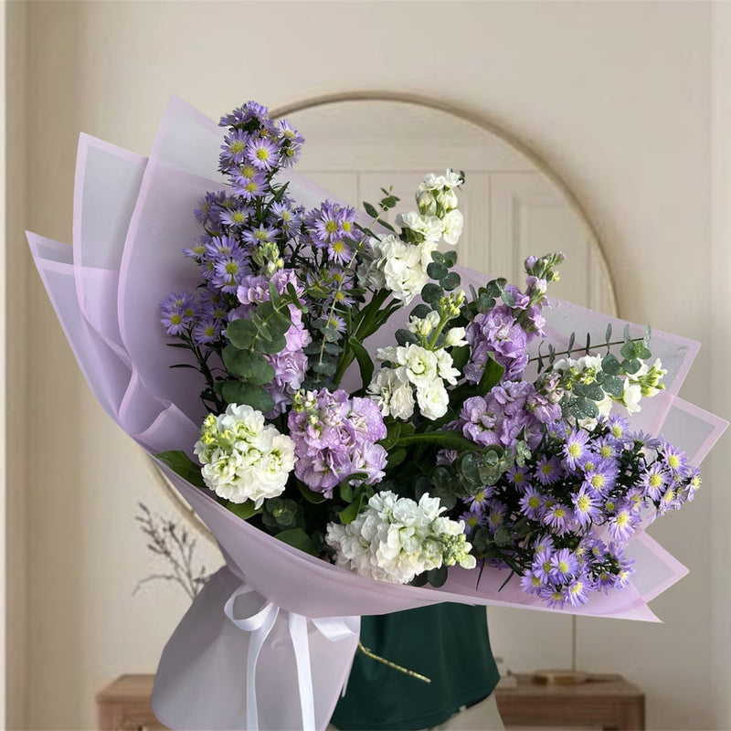 White & Purple Matthiola Bloom