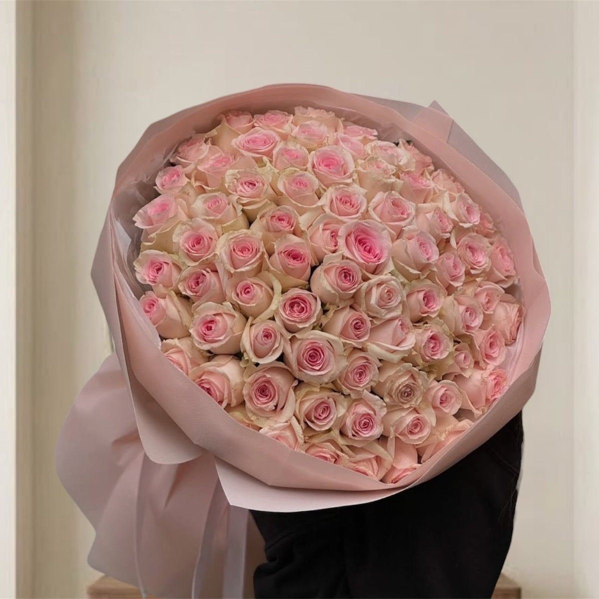 101 Light Pink Roses