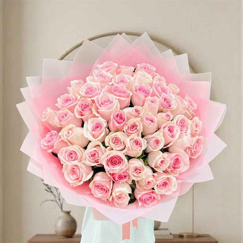51 Light Pink Roses