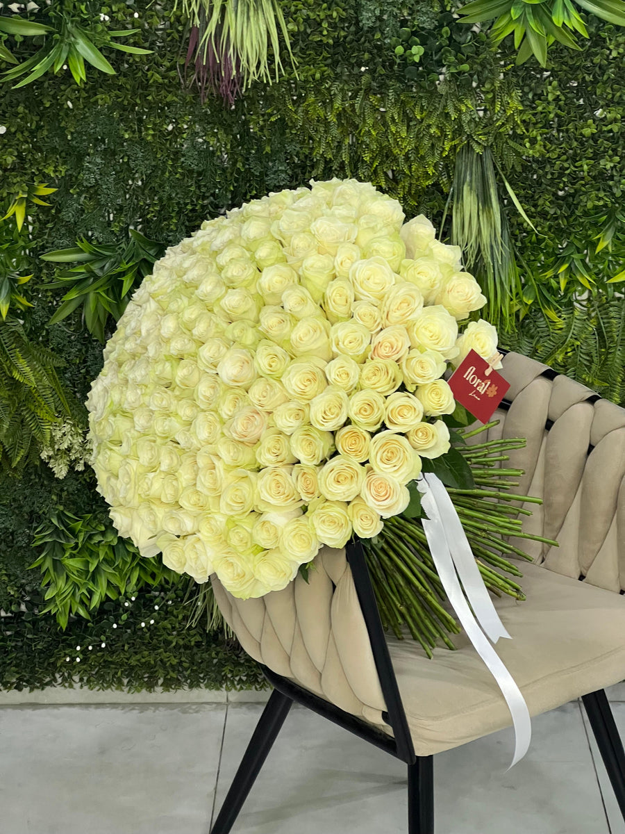 101 White Roses Bunch