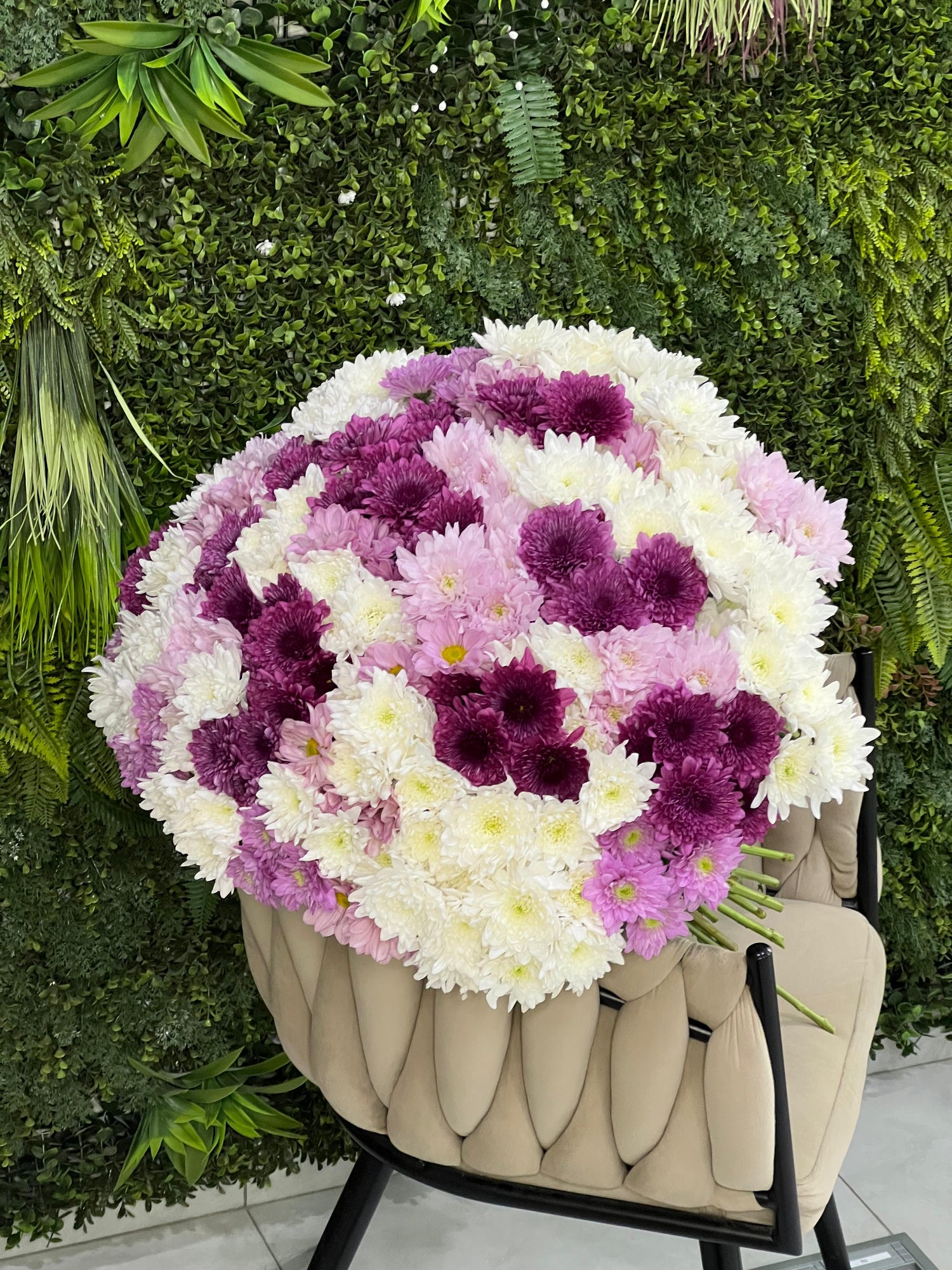 Fresh 51 Chrysanthemum Bunch