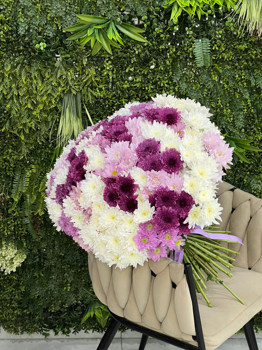 Fresh 51 Chrysanthemum Bunch