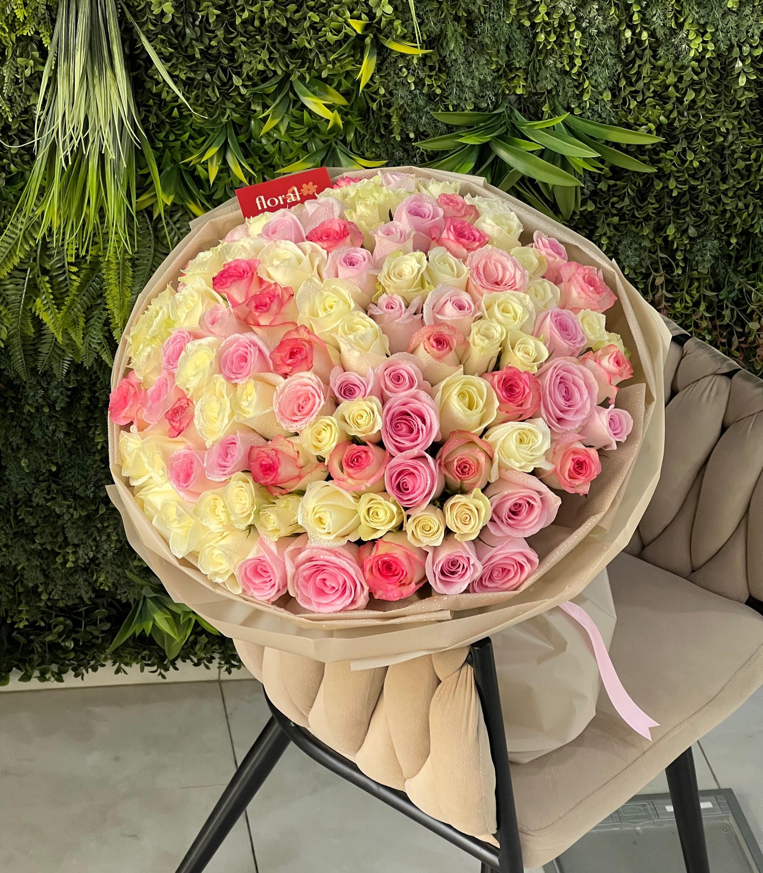 Serenade of 101 Pink and white Roses