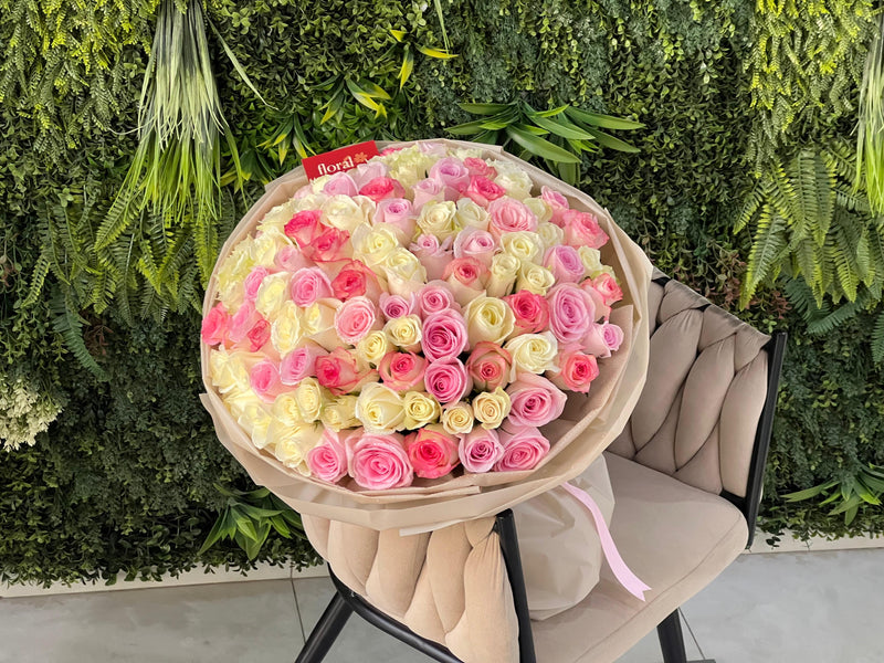 Serenade of 101 Pink and white Roses