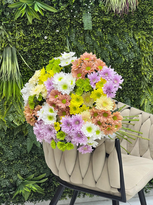 Mix Fresh Chrysanthemums Bunch