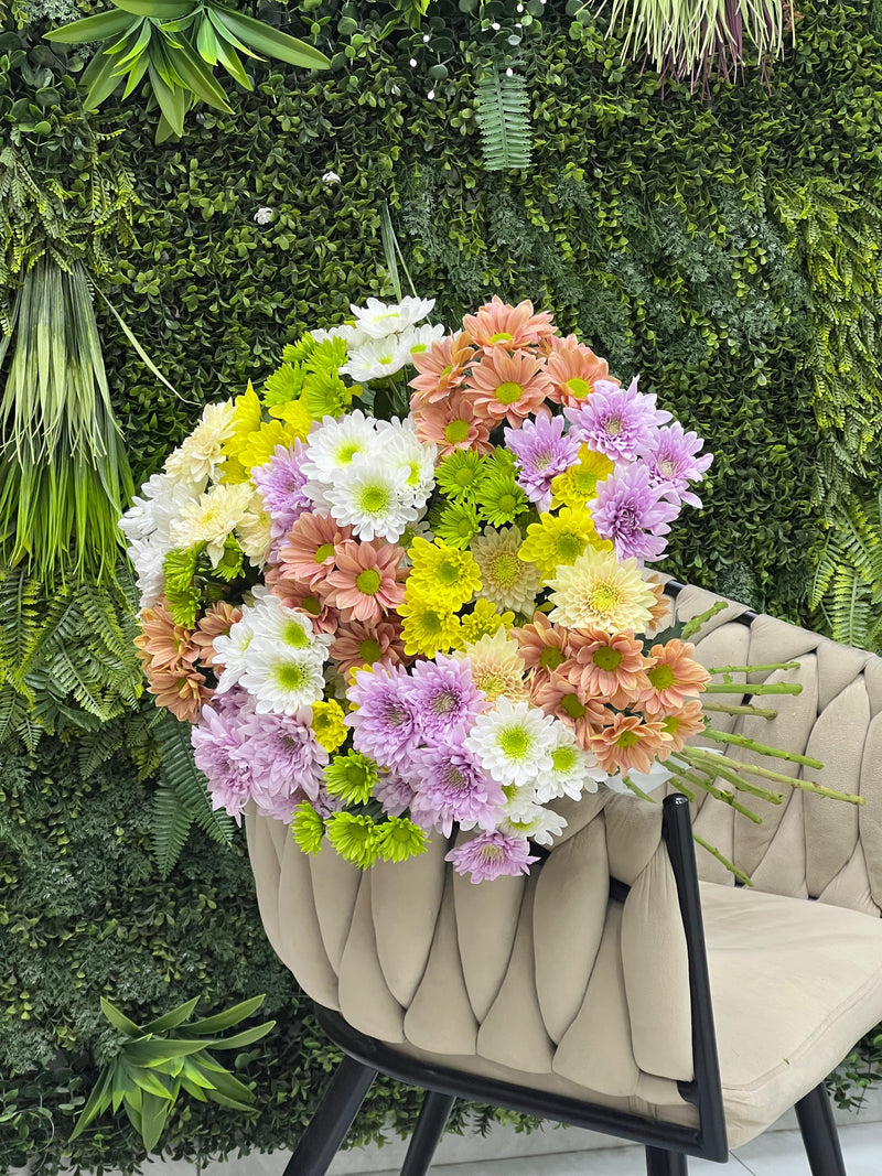 Mix Fresh Chrysanthemums Bunch