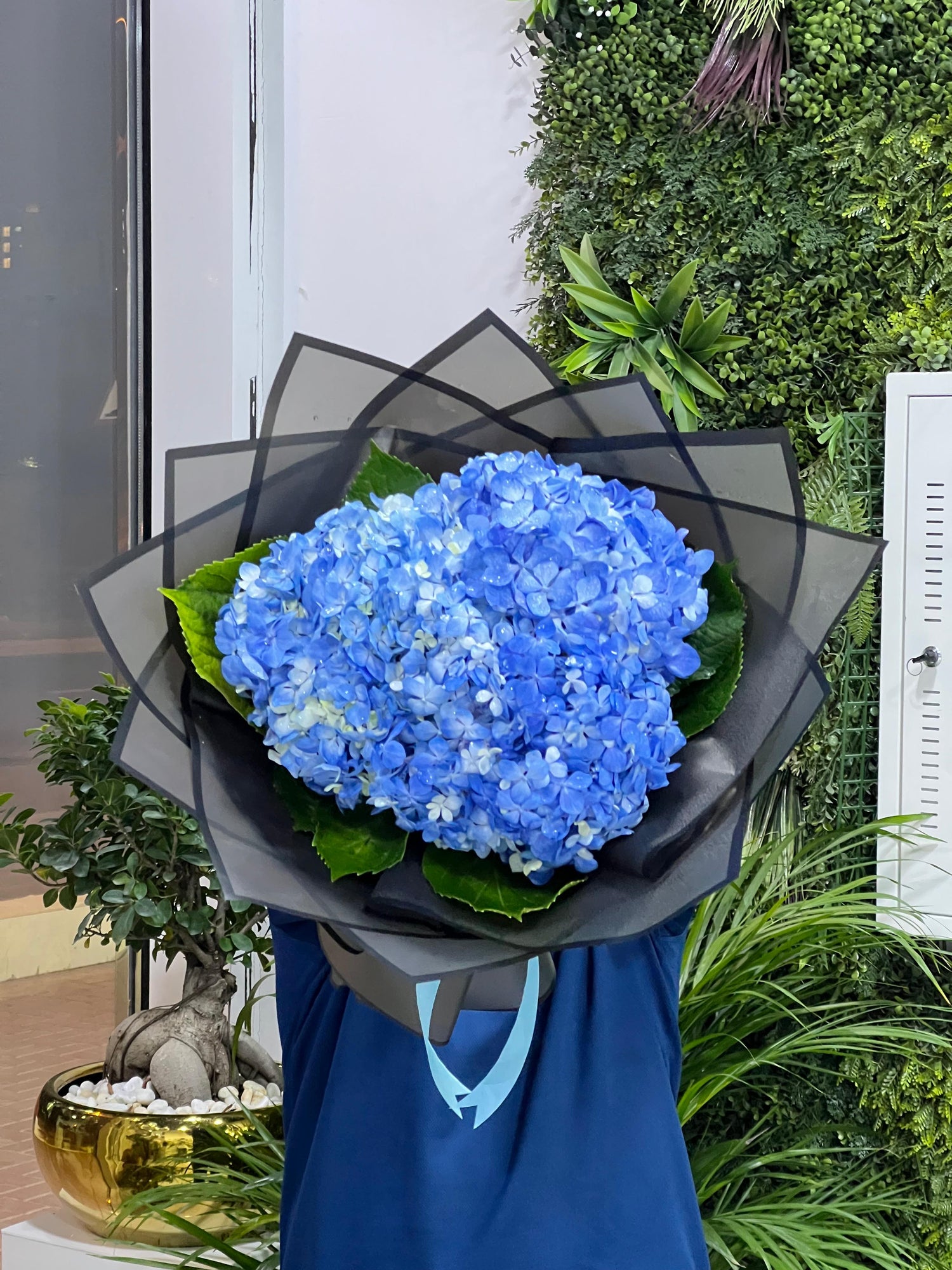Sapphire Mist