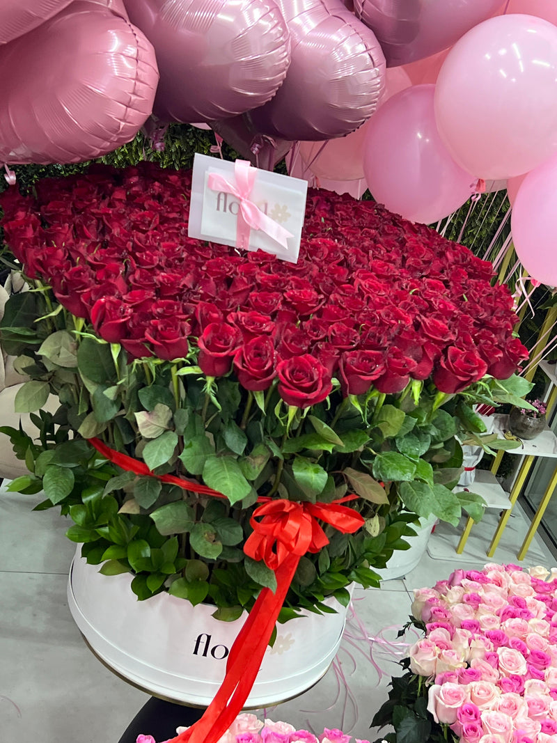 The Signature 301 Statement Box