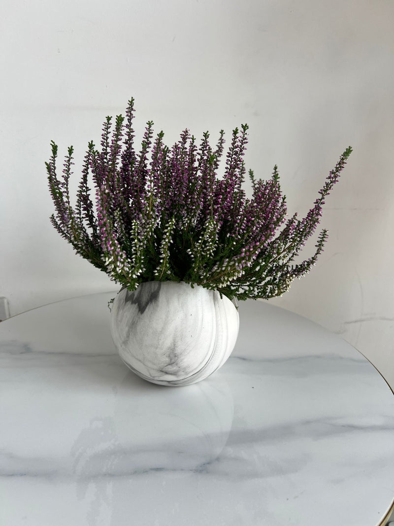 Purple Heather Plant in Marble-Effect Ceramic Pot