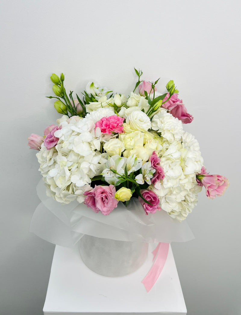 Pastel Perfection Box