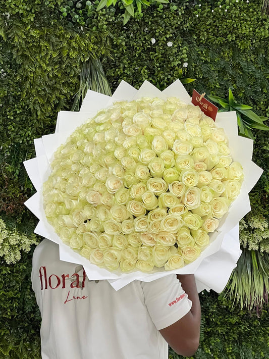 151 White Roses of Pure Grace