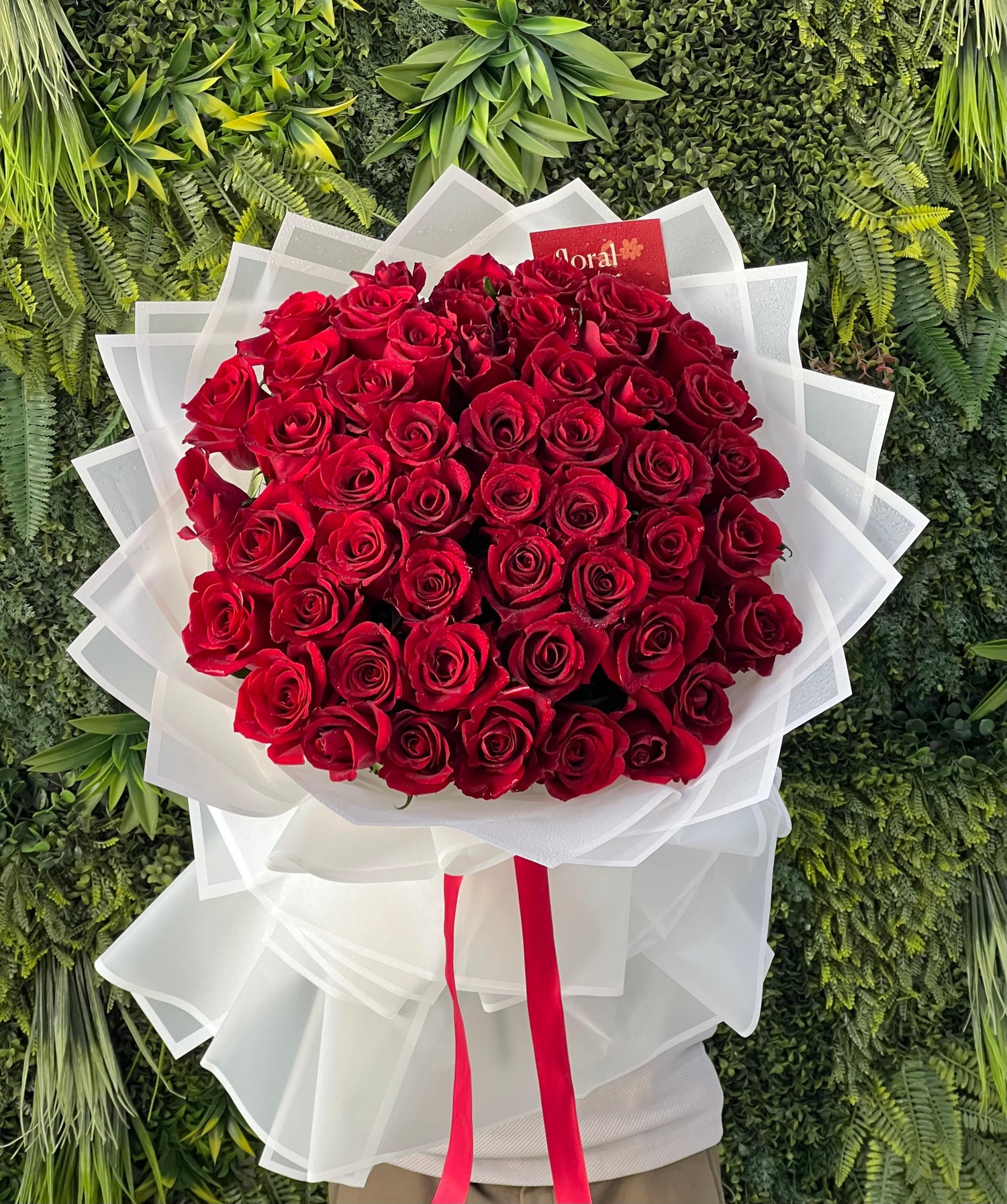 Luxe Red 51