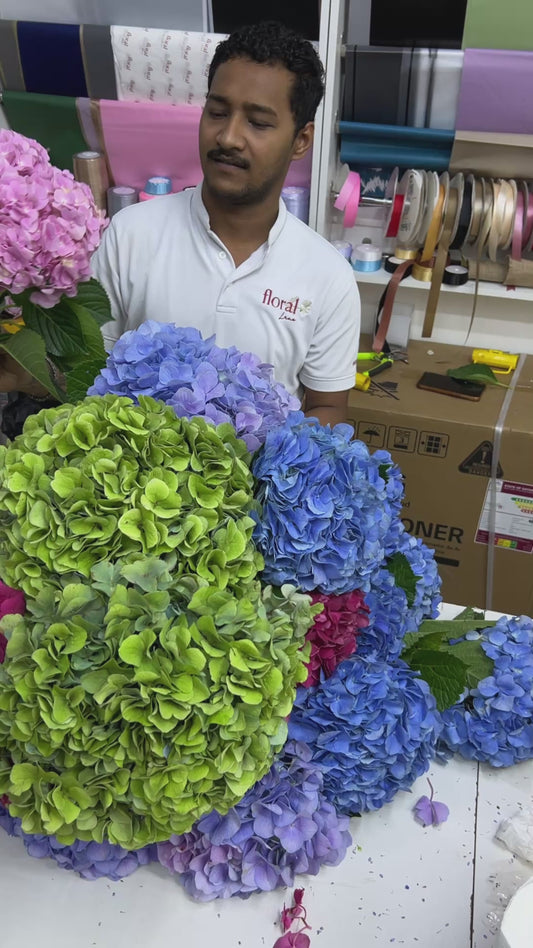 51 Hydrangeas Basket XXL